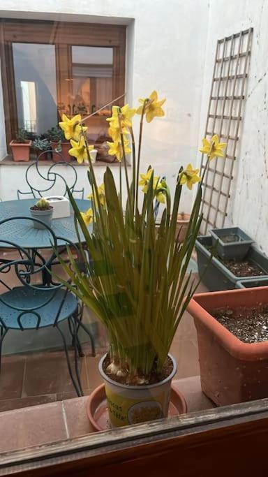 Casa Biar Villa Ngoại thất bức ảnh